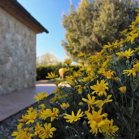 Case&colline Le Preselle Apartment Casale Marittimo